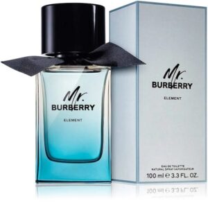 Burberry Mr Burberry Element EDT 100ml